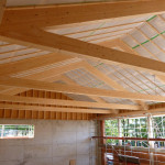 Neubau Mehrzweckhalle