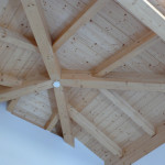 Wohnhaus Neubau Sichtdachstuhl