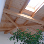 Wohnhaus Neubau Sichtdachstuhl