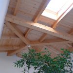 Wohnhaus Neubau Sichtdachstuhl