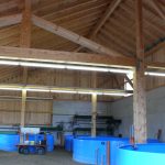 Neubau gewerbliche Fischzuchtanlage